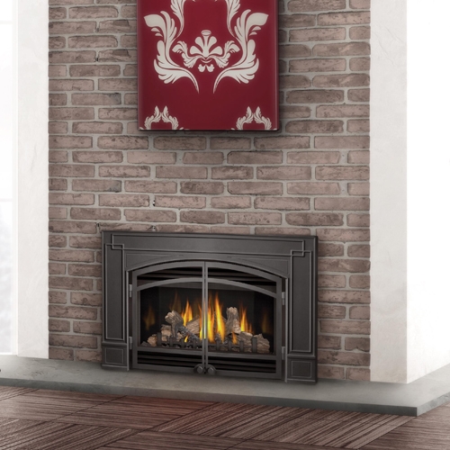 Oakville Series GDIX4N Direct Vent Gas Fireplace Inset by Napoleon